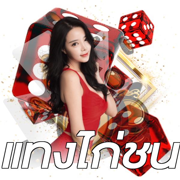 แทงไก่ชน